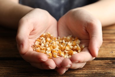 Photo of Woman holding pile of corn seeds at wooden table, closeup. Vegetable planting