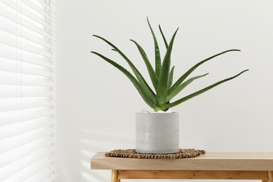 Photo of Beautiful potted aloe vera plant on table indoors, space for text