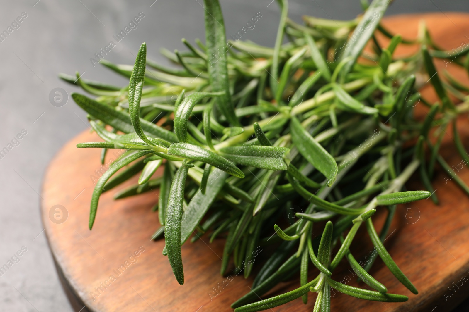 Photo of Fresh green rosemary on wooden board, closeup