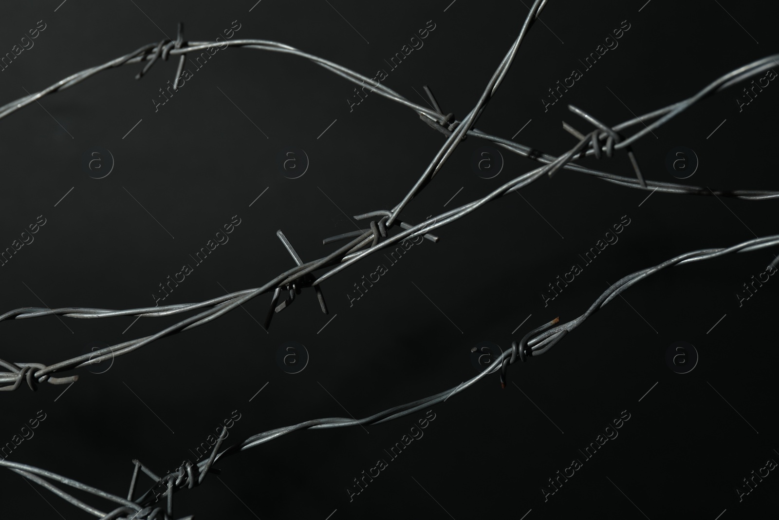 Photo of Metal barbed wire on dark grey background