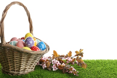 Photo of Painted Easter eggs in wicker basket and blossoming branches on green grass against white background