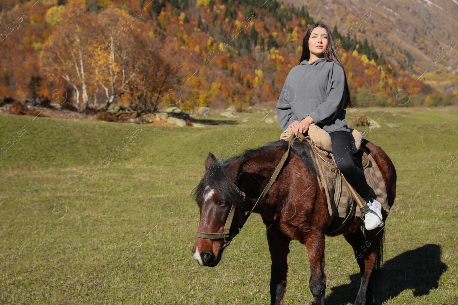 Photo of Young woman riding horse in mountains on sunny day. Beautiful pet