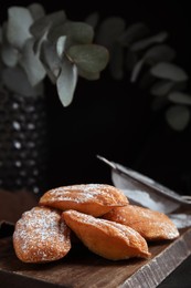 Photo of Delicious madeleine cakes with powdered sugar on table, closeup