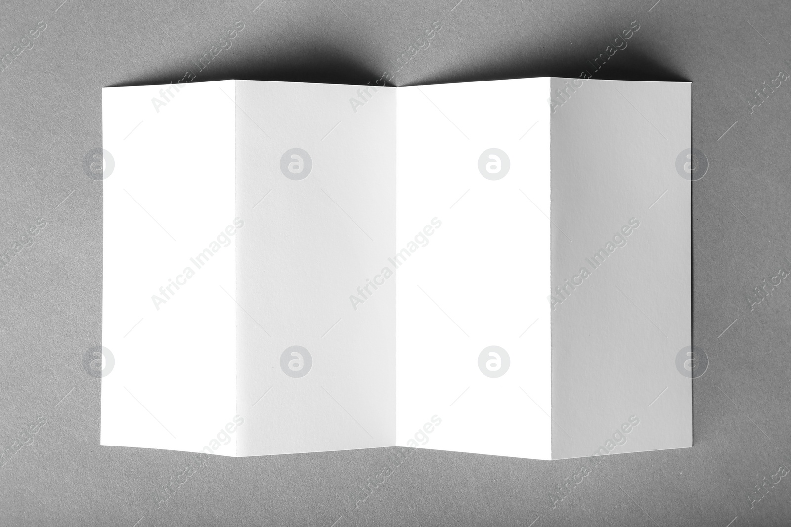 Photo of Blank brochure mock up on color background