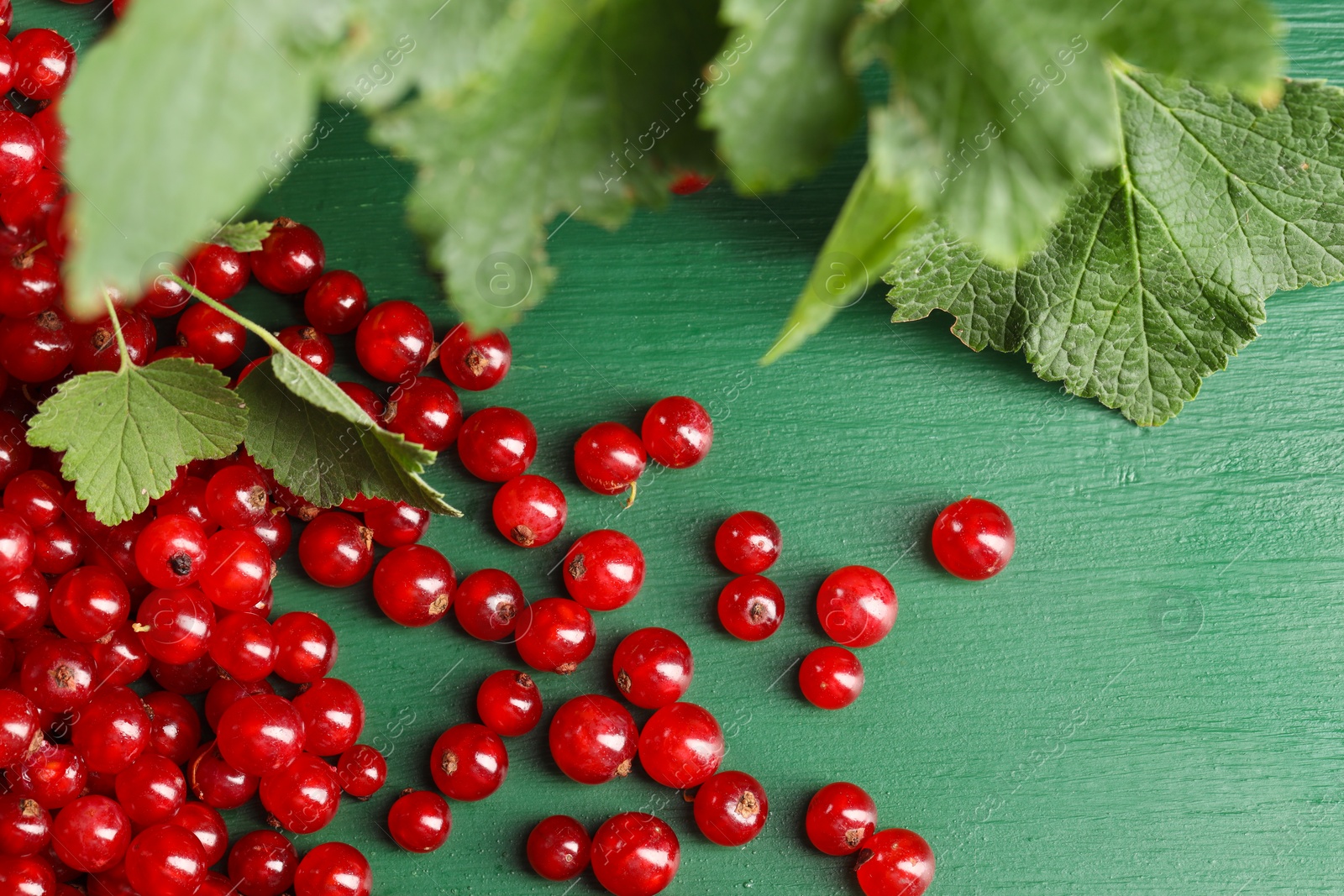 Photo of Many ripe red currants and leaves on green wooden table, above view. Space for text