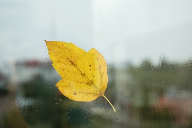 Photo of Autumn leaf stuck to window glass on rainy day, space for text