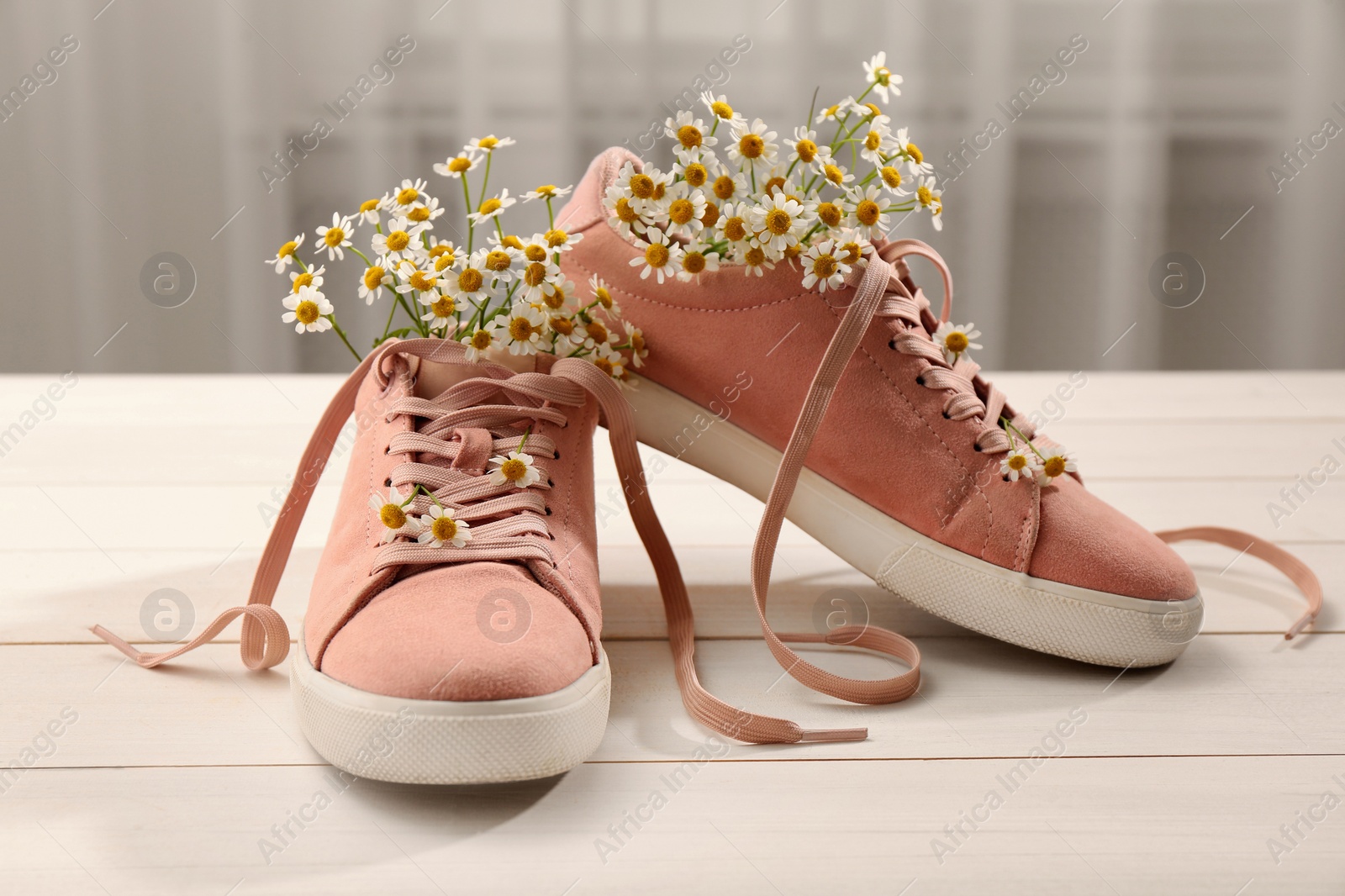 Photo of Shoes with beautiful chamomile flowers on white wooden surface