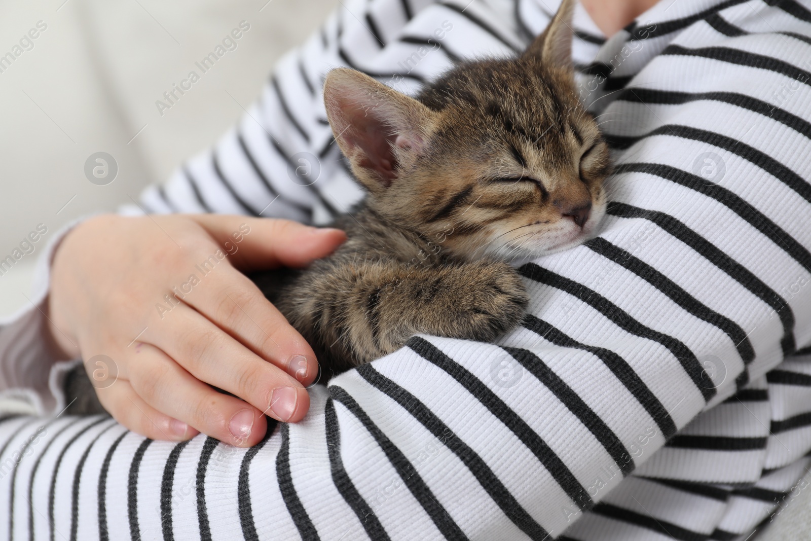 Photo of Little girl with cute fluffy kitten, closeup