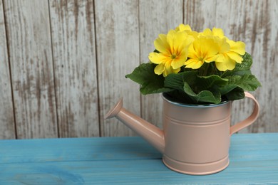 Photo of Beautiful yellow primula (primrose) flower in watering can on light blue wooden table, space for text. Spring blossom