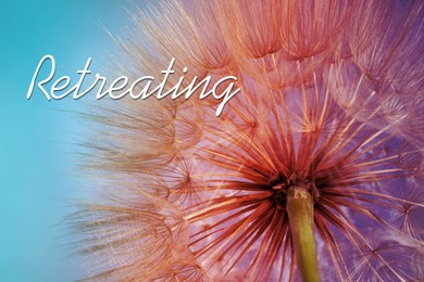 Image of Retreating. Bright dandelion flower on light blue background, closeup. Color tone effect