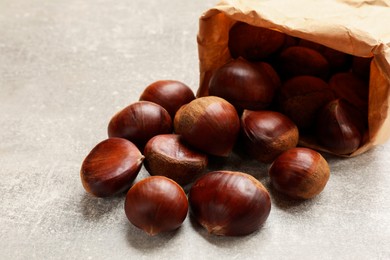 Photo of Paper bag with roasted edible sweet chestnuts on light grey table, closeup