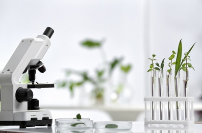 Laboratory glassware with different plants and microscope on table against blurred background. Chemistry research