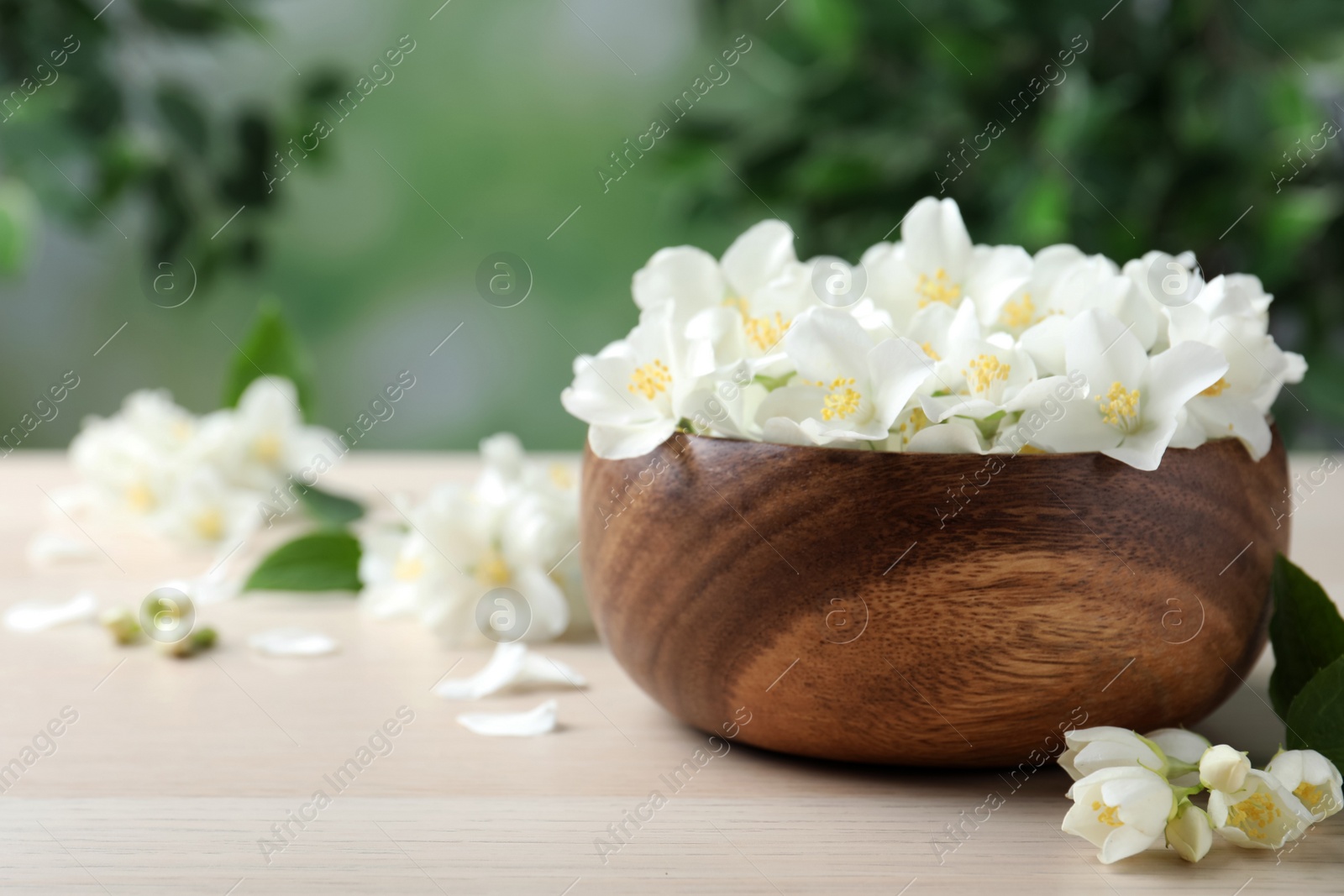 Photo of Bowl with beautiful jasmine flowers on white wooden table, closeup. Space for text