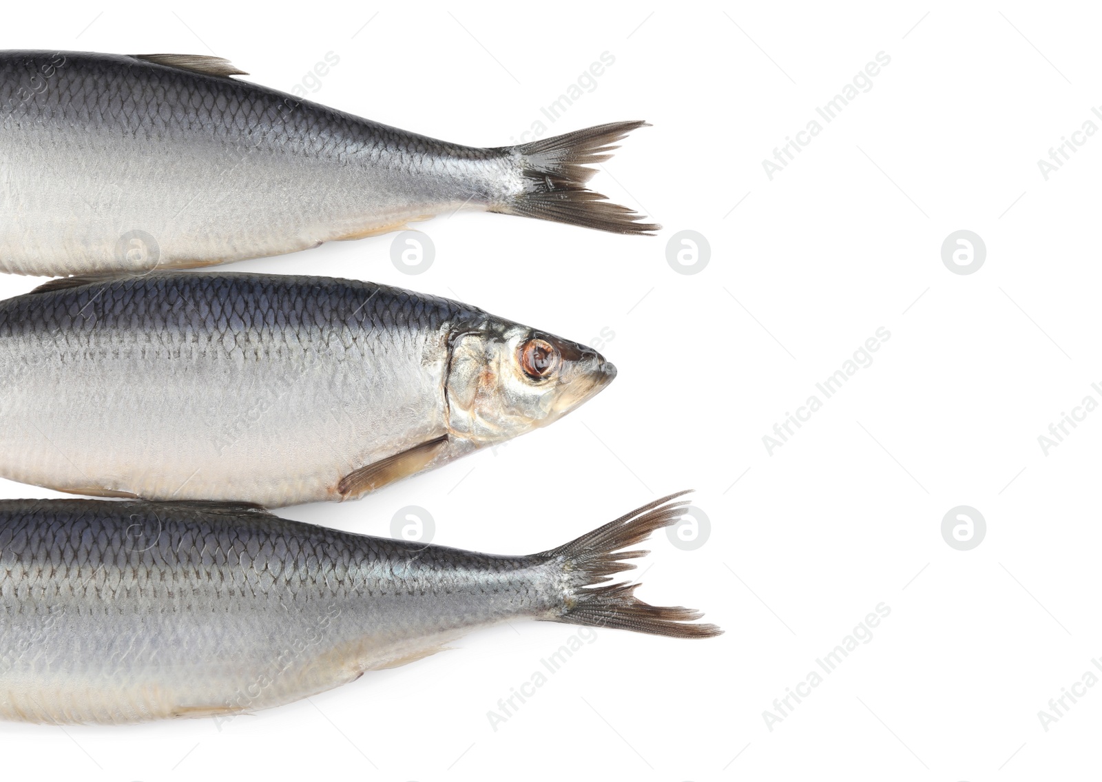 Photo of Delicious whole salted herrings isolated on white, top view