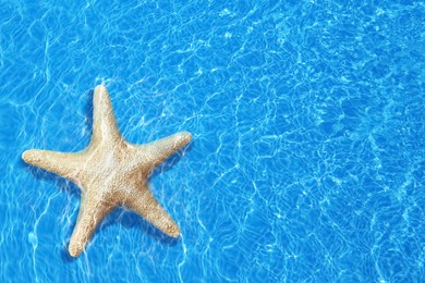 Image of Beautiful sea star on clear blue water, top view