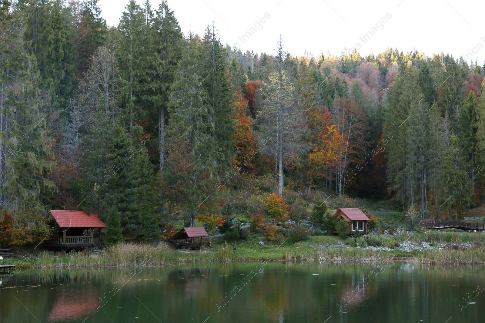 Photo of Beautiful landscape with forest and houses near lake. Camping season