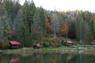 Beautiful landscape with forest and houses near lake. Camping season