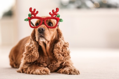 Adorable Cocker Spaniel dog in party glasses on blurred background, space for text