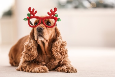 Photo of Adorable Cocker Spaniel dog in party glasses on blurred background, space for text