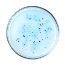 Photo of Petri dish with bacteria on white background, top view