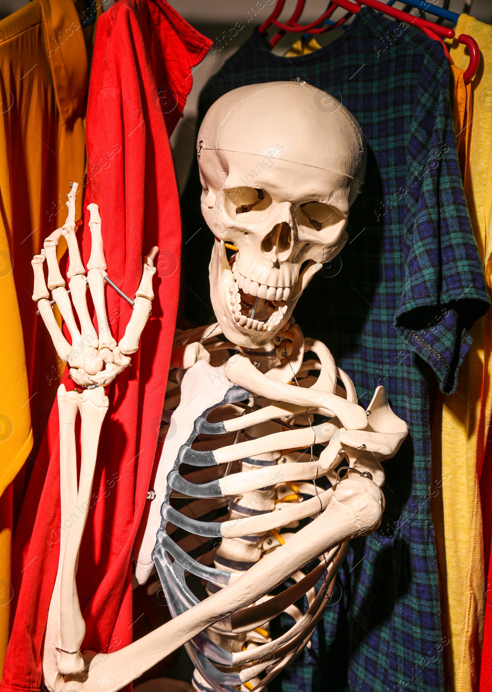 Photo of Artificial human skeleton model among clothes in wardrobe