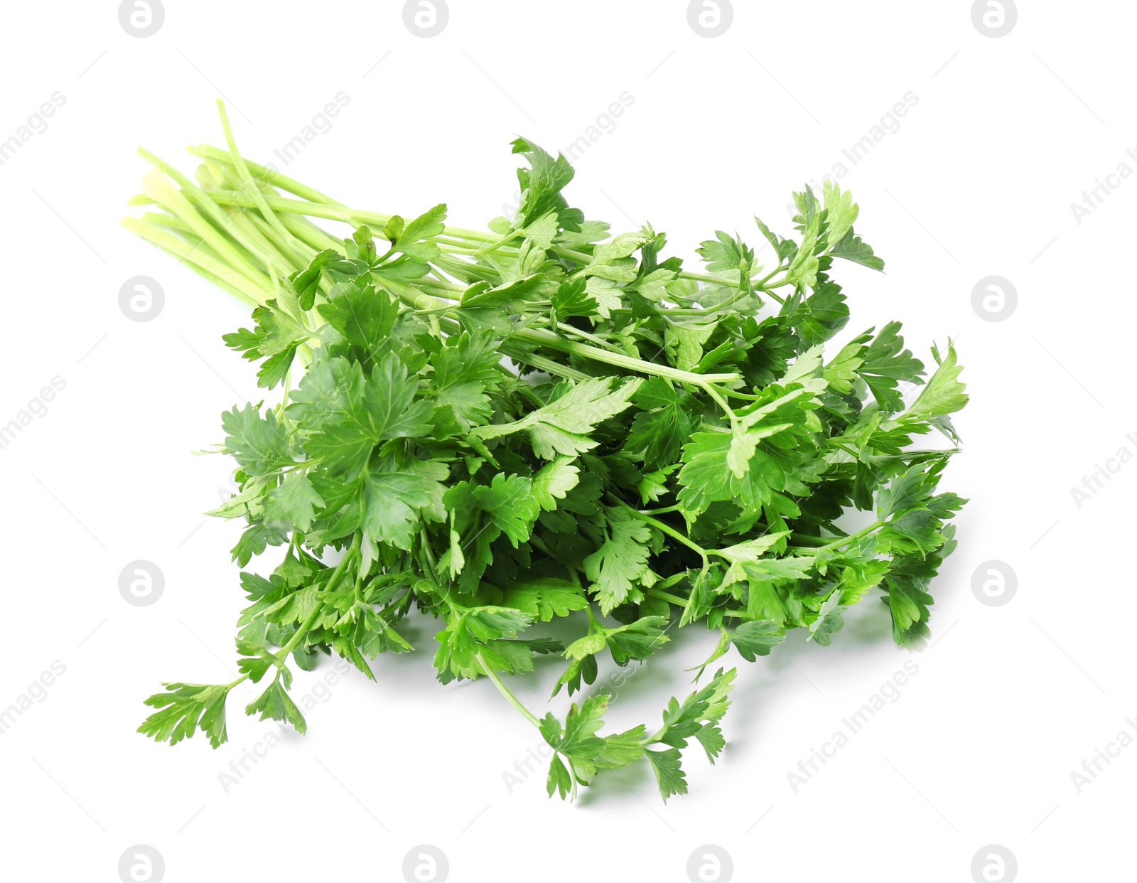 Photo of Bunch of fresh green parsley on white background