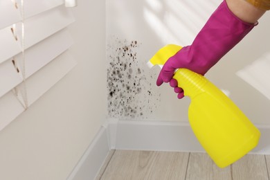 Image of Woman in rubber gloves using mold remover on wall in room, closeup
