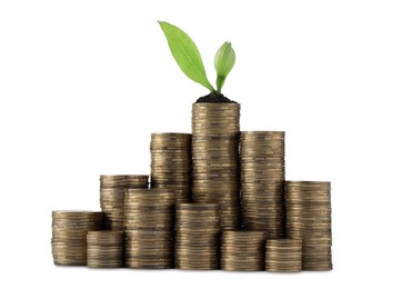 Photo of Stacks of coins and green plant on white background. Prosperous business