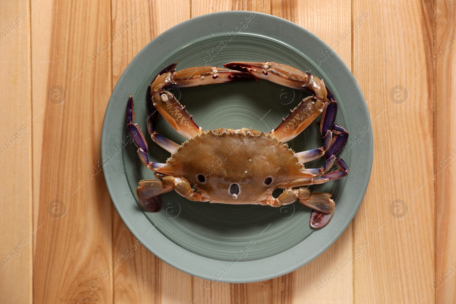 Photo of Fresh swimming crab on wooden table, top view