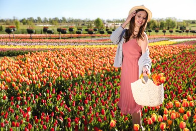 Woman in beautiful tulip field on sunny day