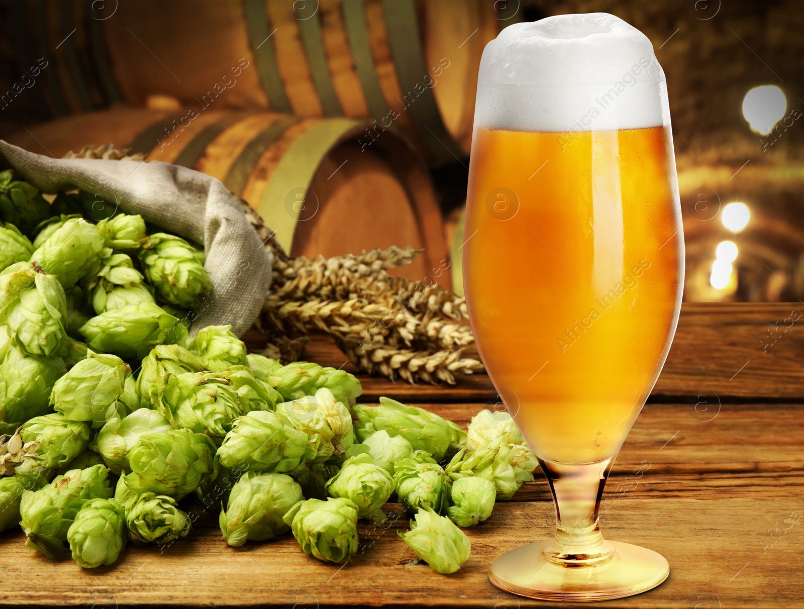 Image of Glass of tasty light beer, fresh hops and wheat spikes on wooden table in cellar