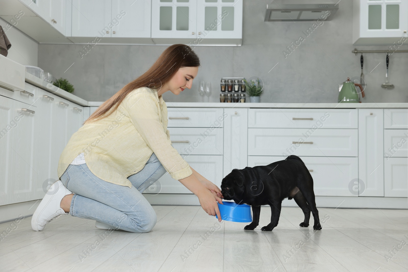 Photo of Beautiful young woman feeding her adorable Pug dog in kitchen