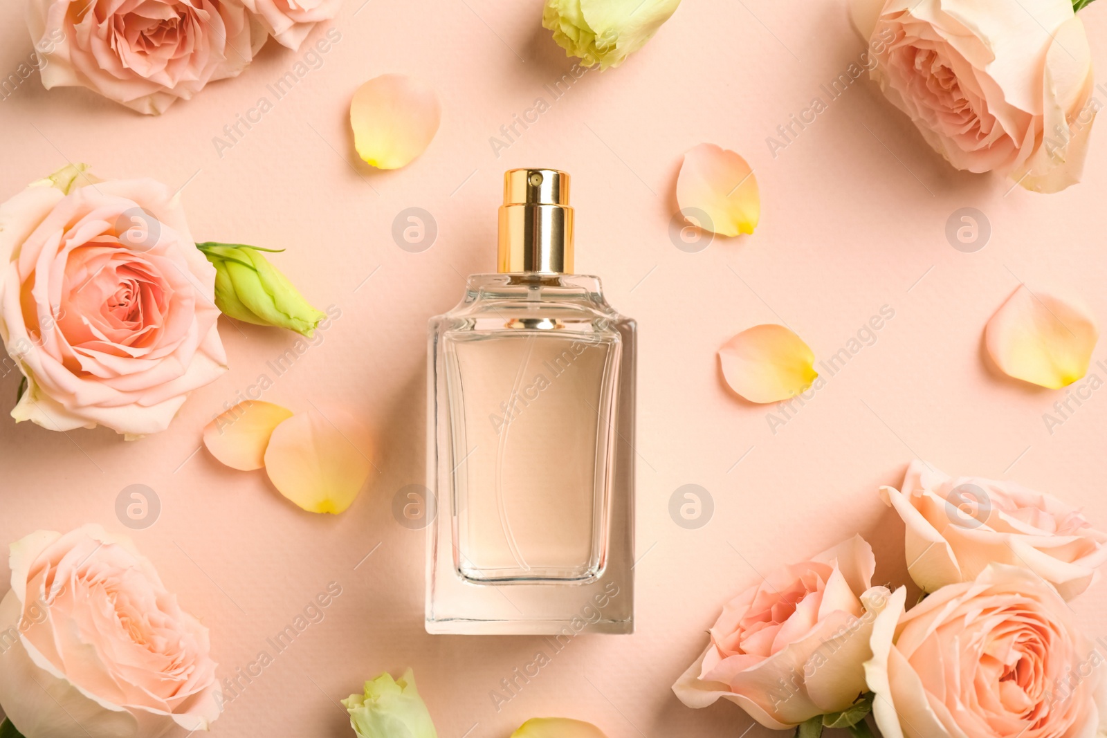 Photo of Bottle of perfume, beautiful flowers and petals on beige background, flat lay