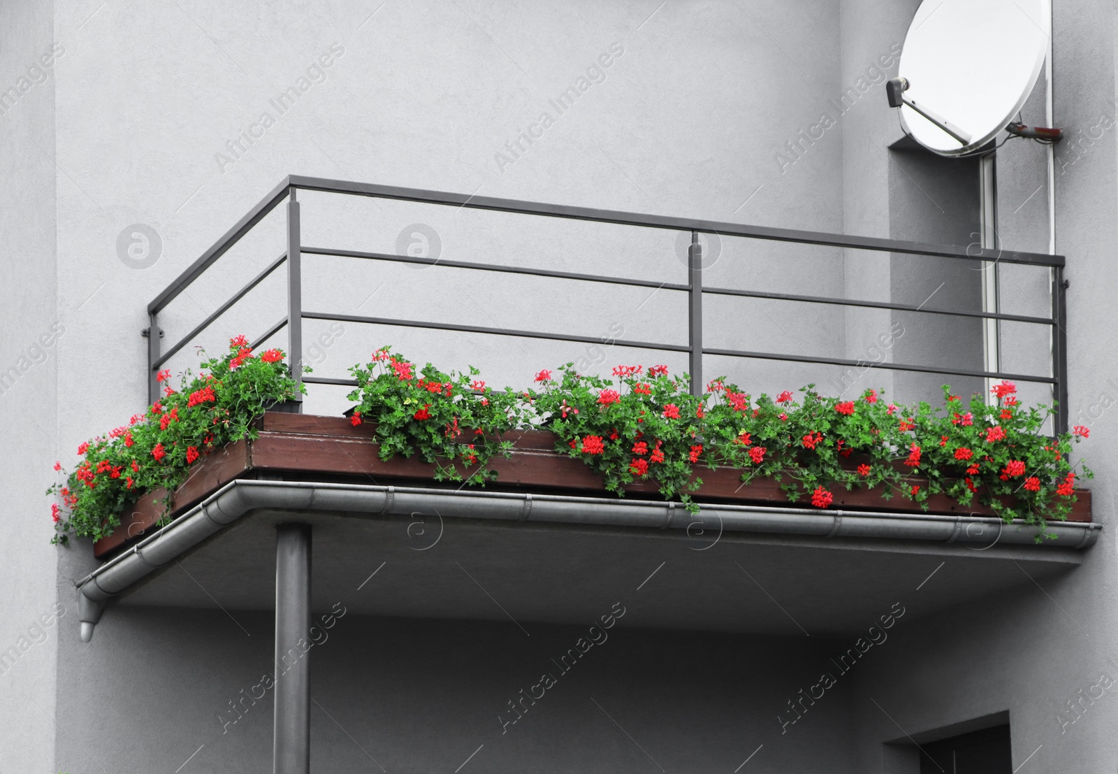 Photo of Balcony decorated with beautiful blooming potted flowers