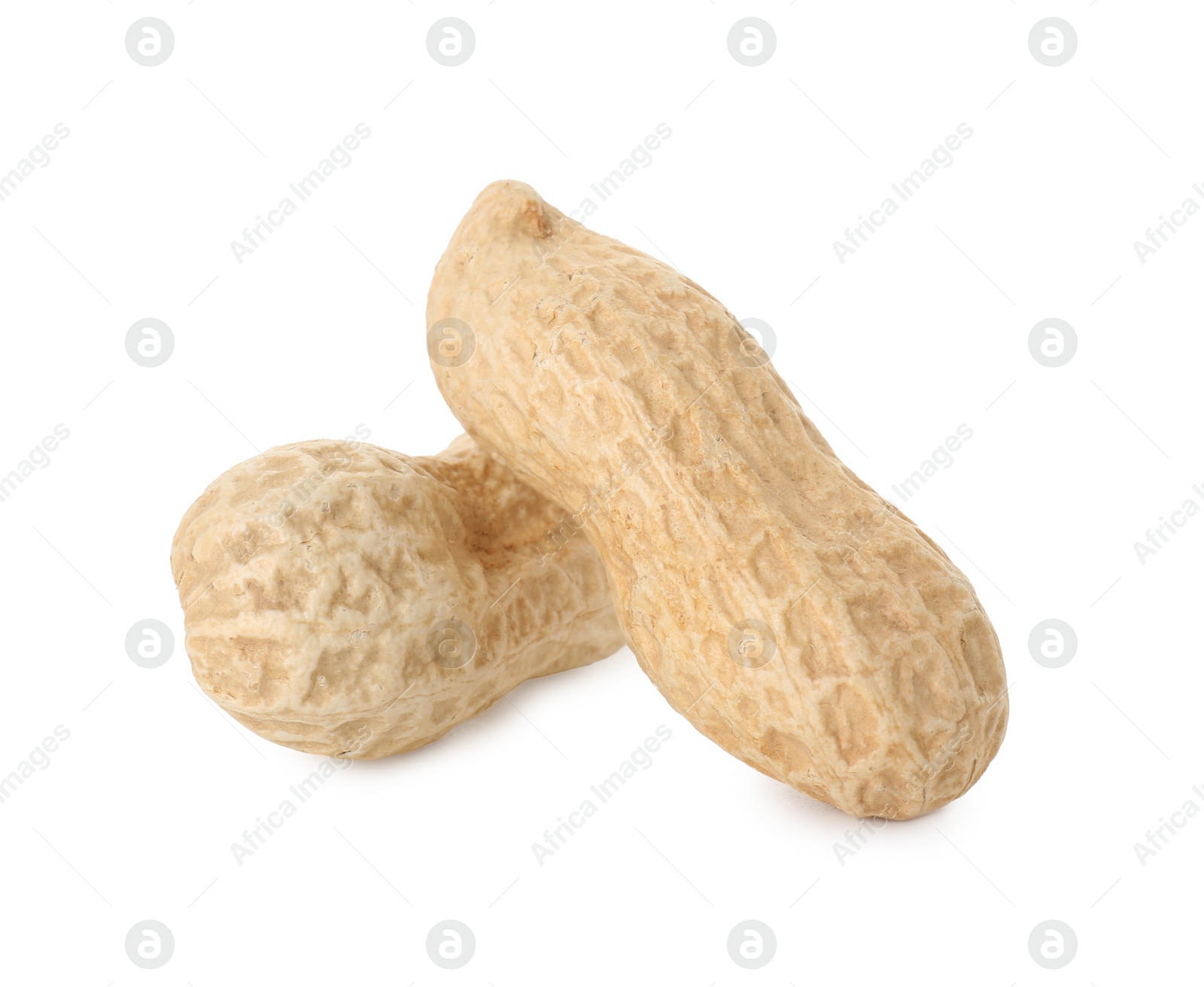 Photo of Two fresh unpeeled peanuts isolated on white