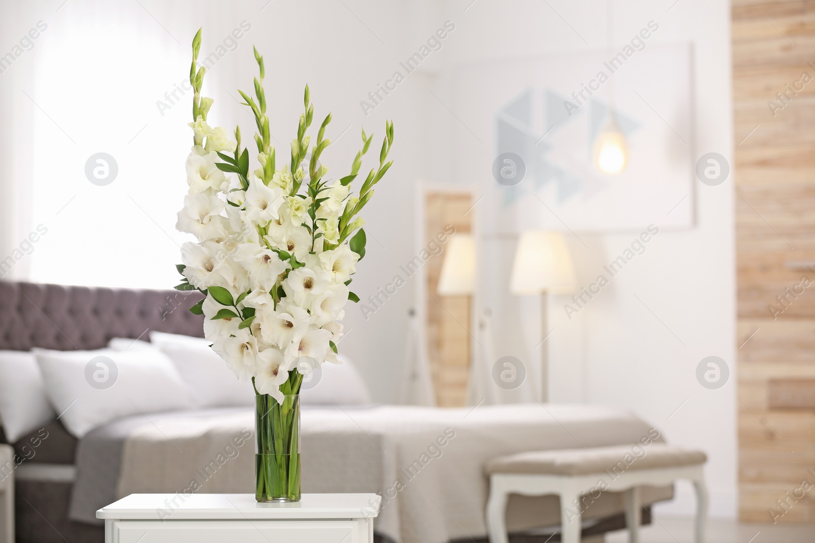 Photo of Vase with beautiful white gladiolus flowers on wooden table in bedroom. Space for text