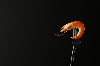 Photo of Fork with one shrimp on black background