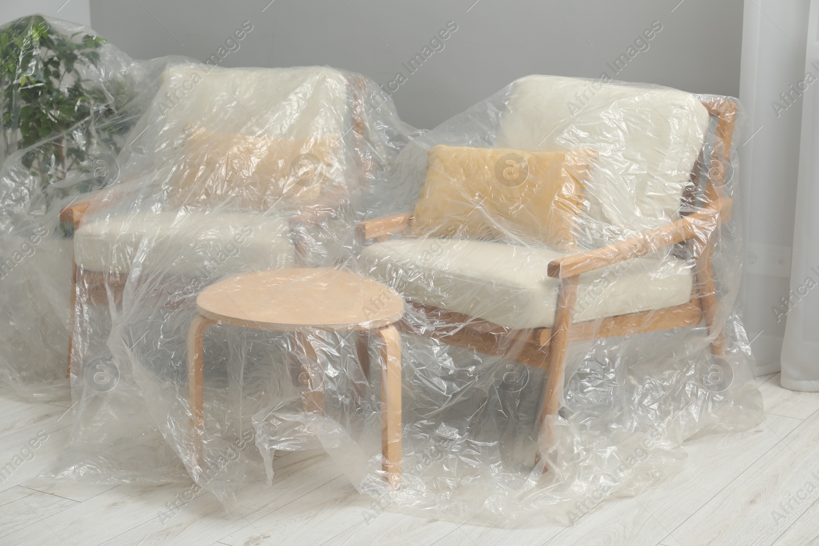 Photo of Stylish chairs, table and houseplant covered with plastic film at home