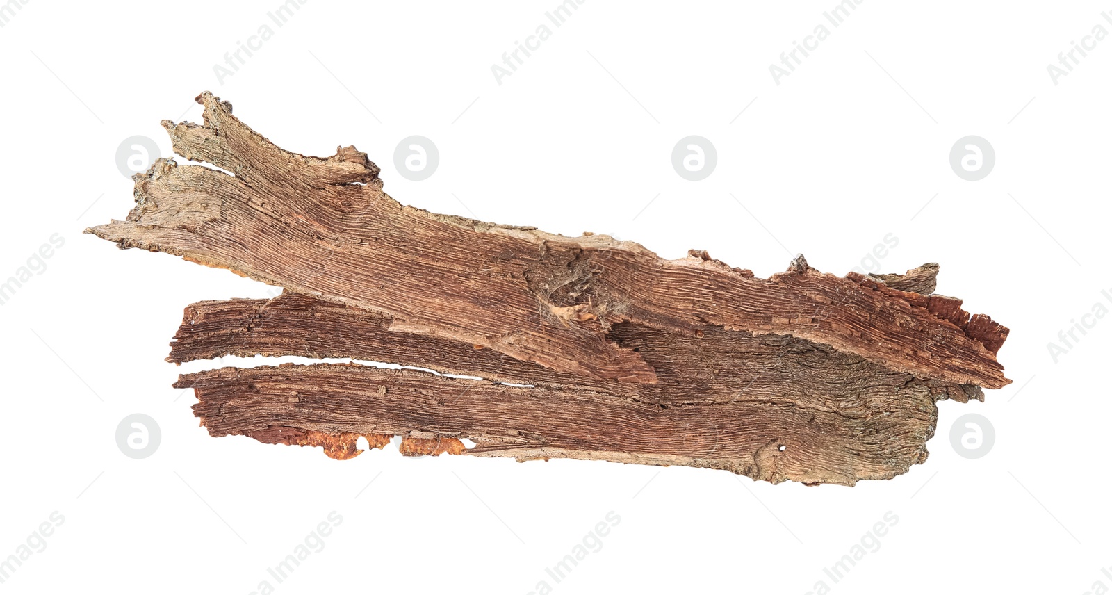 Photo of Tree bark pieces isolated on white, top view