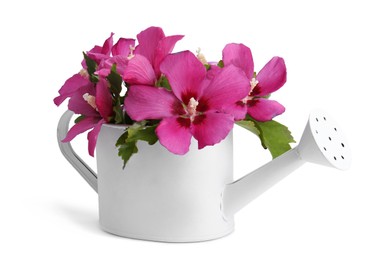 Photo of Beautiful flowers in watering can isolated on white