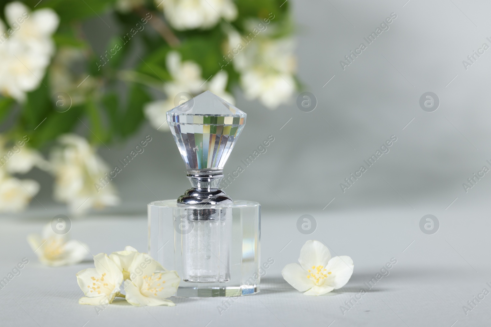 Photo of Aromatic perfume in bottle and beautiful jasmine flowers on grey background, closeup