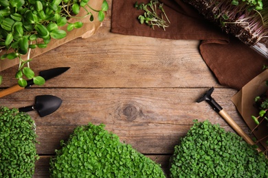 Photo of Fresh organic microgreens and gardening tools on wooden table, flat lay. Space for text