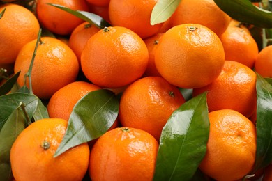 Photo of Delicious tangerines with leaves as background, closeup