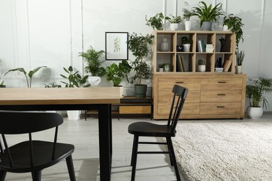 Photo of Table with chairs and wooden shelving unit, books and many potted houseplants in stylish room