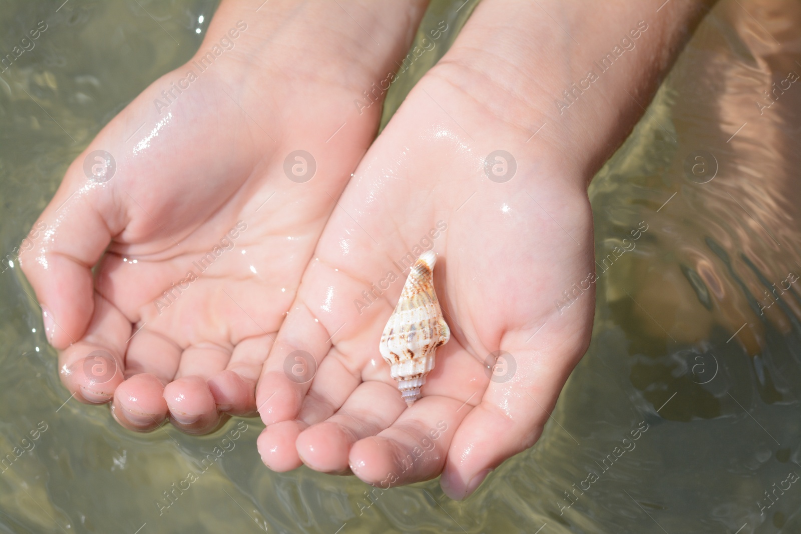 Photo of Kid holding seashell in hands above water outdoors, closeup