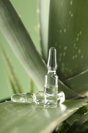 Photo of Skincare ampoules on aloe vera against light green background, closeup