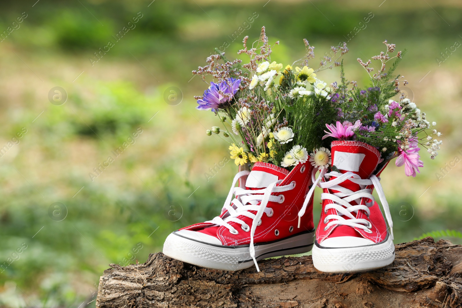 Photo of Beautiful flowers in shoes on log outdoors, space for text