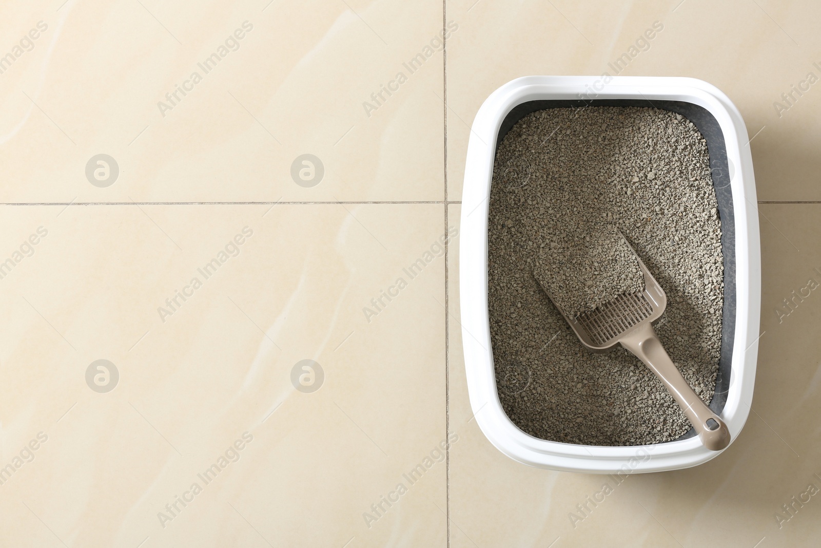 Photo of Cat tray with clumping litter and scoop on floor, top view. Space for text