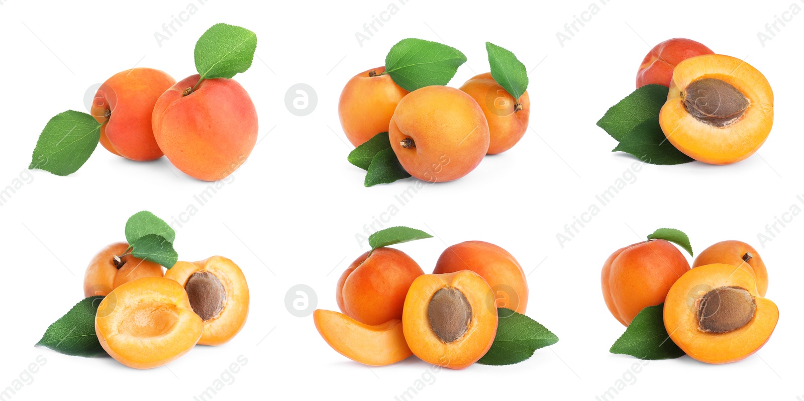 Image of Set of fresh apricots on white background. Banner design