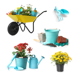 Set with different gardening tools and plants on white background 